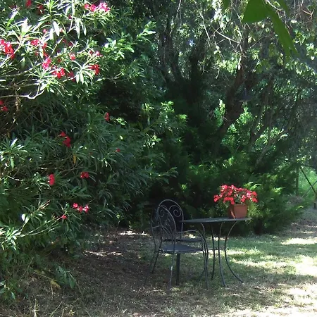 Feriegård La Casa Della Lavanda - Il Casale