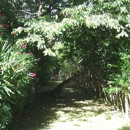 Feriegård La Casa Della Lavanda - Il Casale *