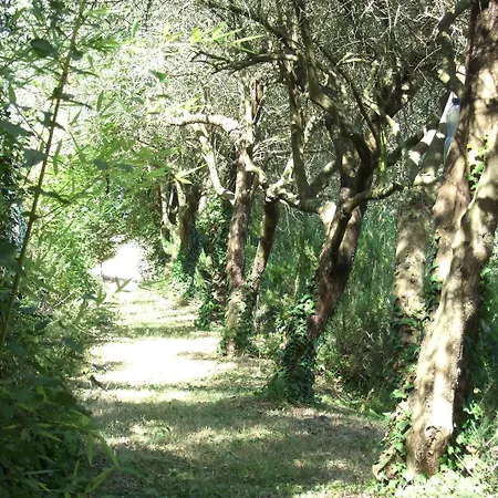 La Casa Della Lavanda - Il Casale *