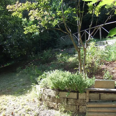 La Casa Della Lavanda - Il Casale Monte San Vito