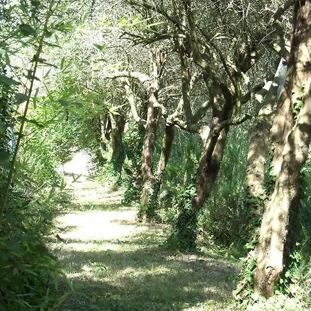 La Casa Della Lavanda - Il Casale Farm stay