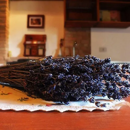 La Casa Della Lavanda - Il Casale Alloggio per agriturismo *