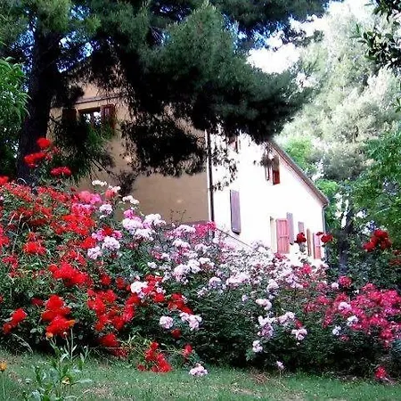 Feriegård La Casa Della Lavanda - Il Casale