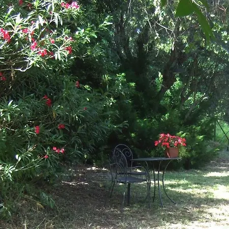 Farm stay La Casa Della Lavanda - Il Casale Monte San Vito